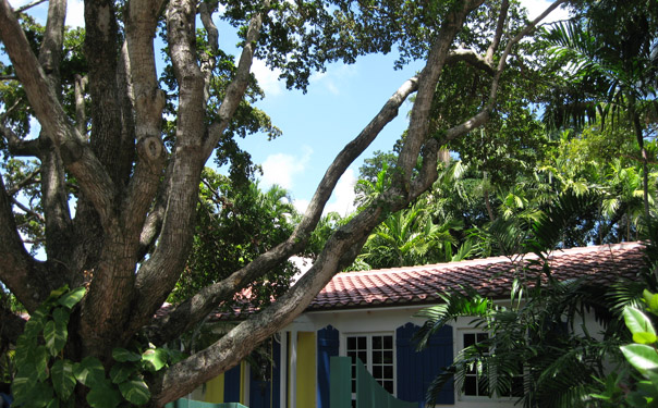 JW Roofing Covers the Best Homes In Miami Beach