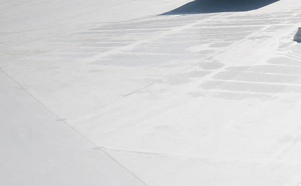 Cool roofs save energy in the Florida heat