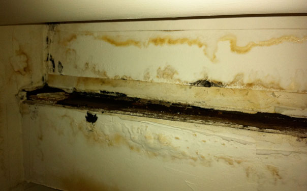 Repair your Miami Roof